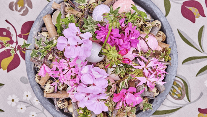 pelargonija_uskrs_cijela2